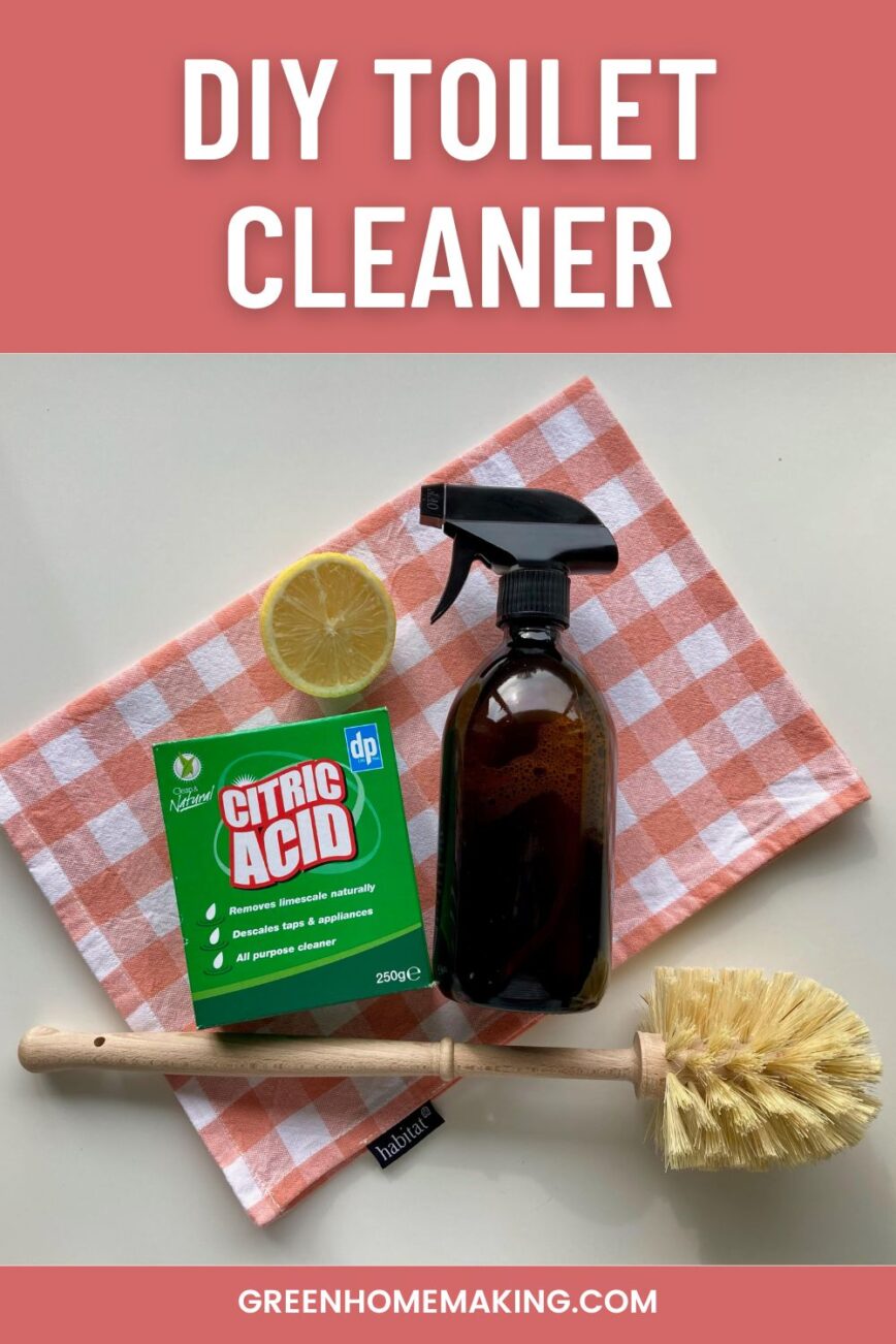 DIY Toilet Cleaner Recipe - Green Homemaking