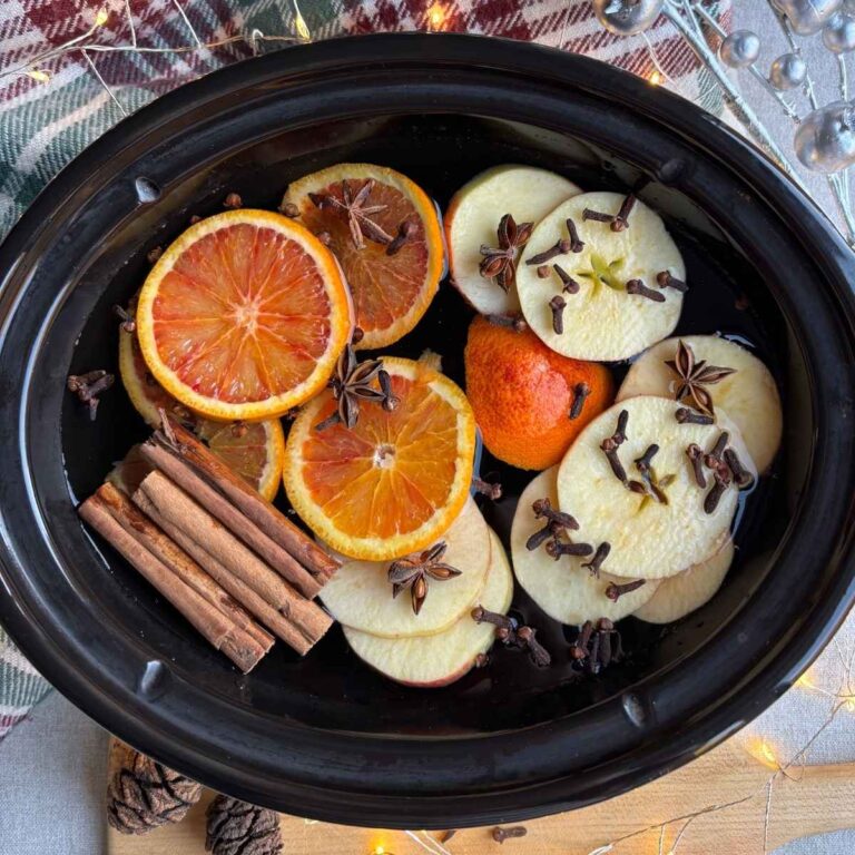 Winter Simmer Pot Recipe - Crock Pot containing recipe ingredients