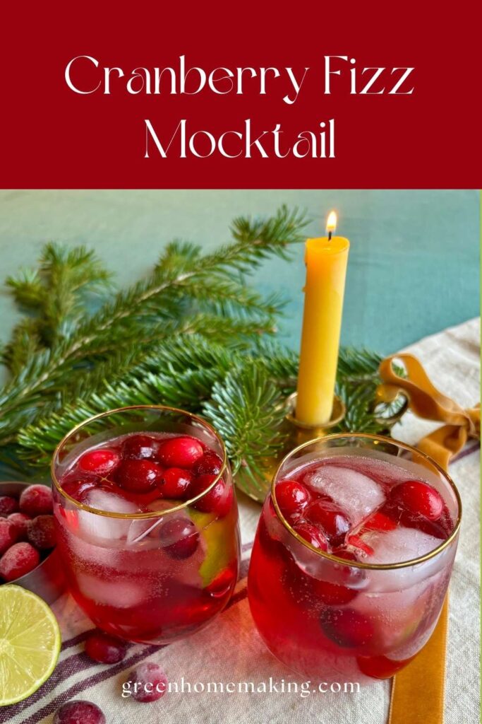 Cranberry Fizz Mocktail