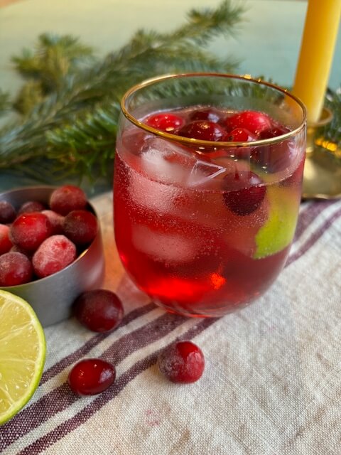 Cranberry Fizz Mocktail